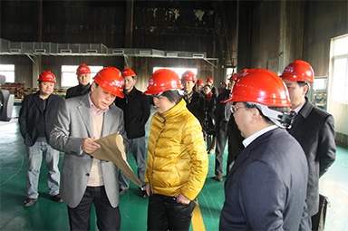 2012年1月31日，時任嘉興市委書記魯俊率領(lǐng)市發(fā)改委等市級部門負(fù)責(zé)人到公司調(diào)研