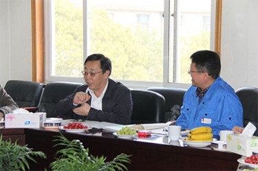 2013年3月18日，時任國家工信部節(jié)能司副司長楊鐵生一行蒞臨公司參觀指導